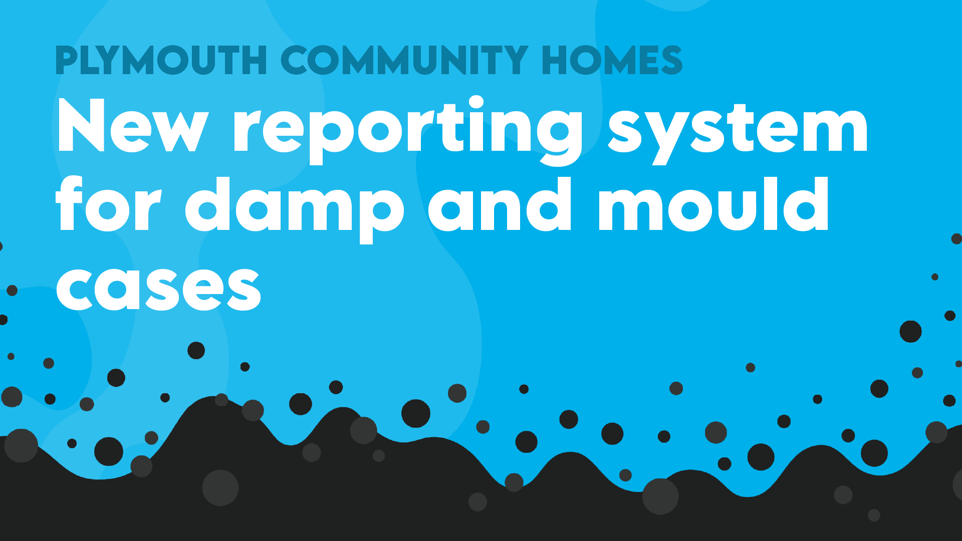 PCH Damp And Mould Social New System 240301 JM V1