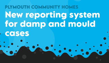 PCH Damp And Mould Social New System 240301 JM V1