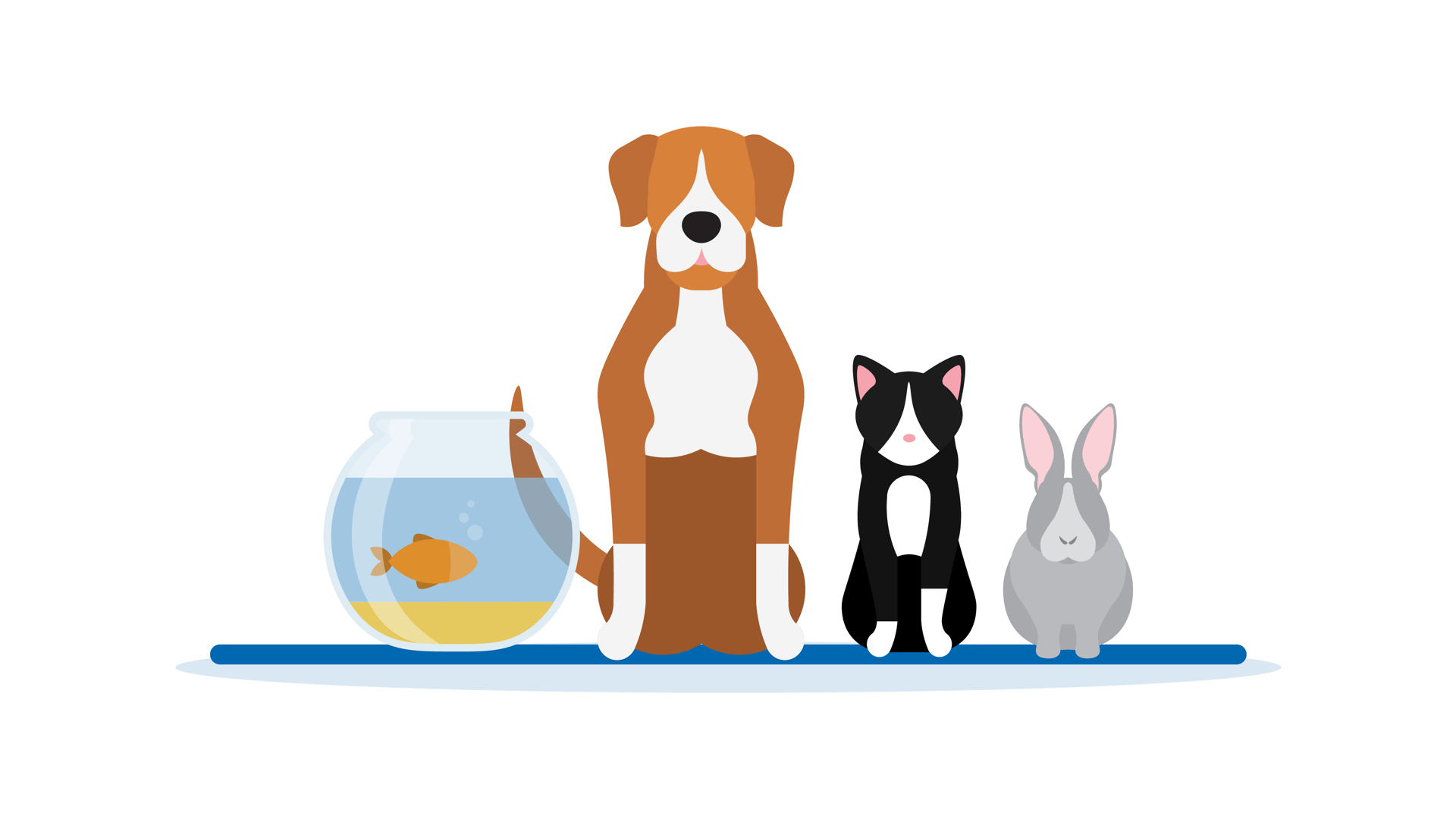 Pets 01
