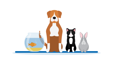 Pets 01