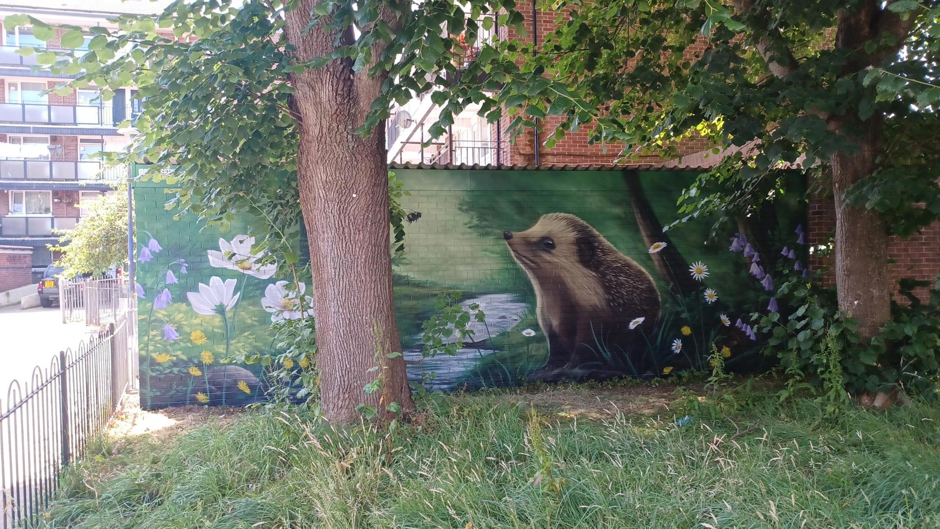 Hedgehog