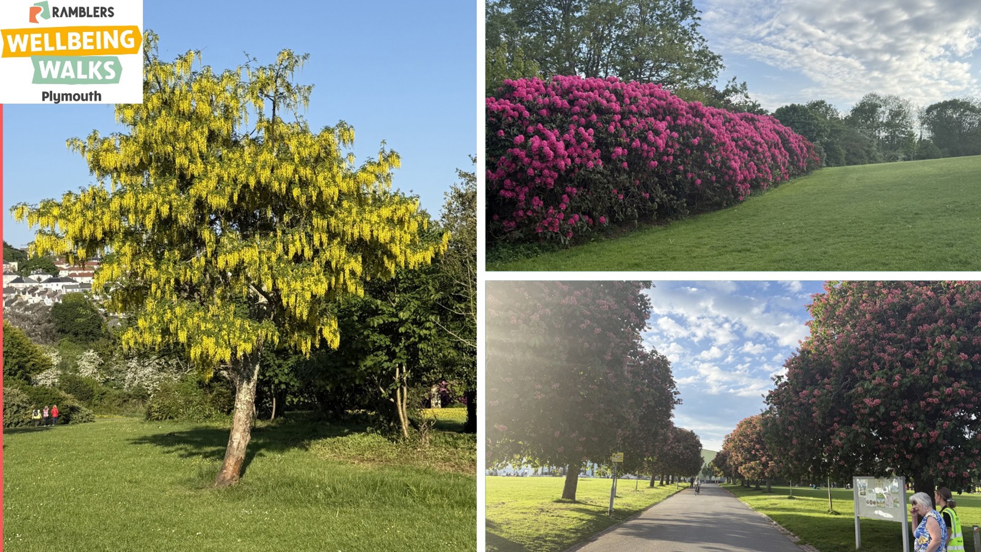 Rambler Wellbeing Walks 23
