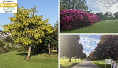 Rambler Wellbeing Walks 23