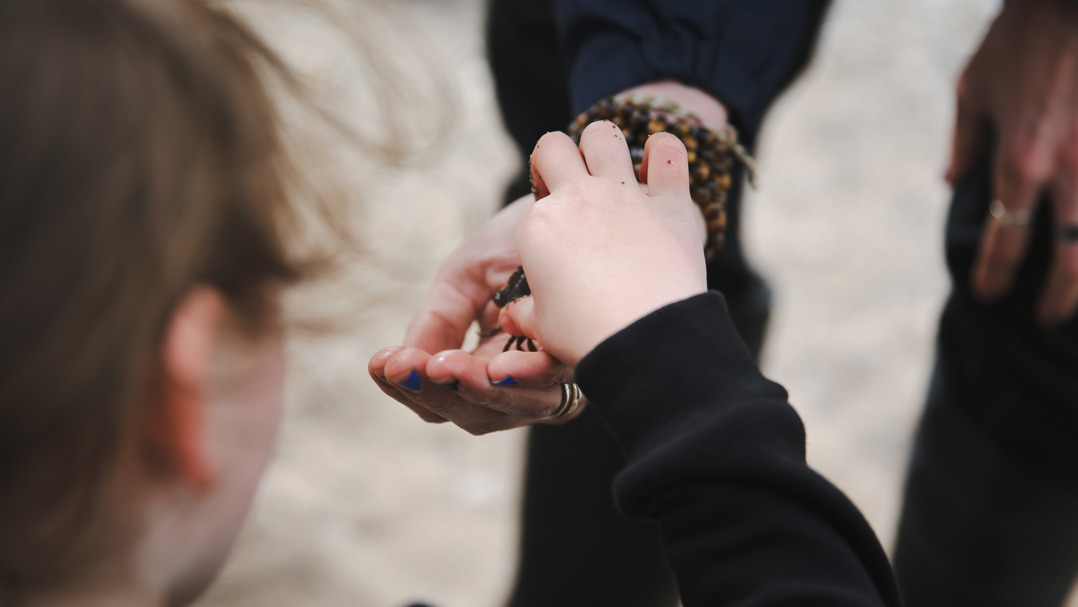 ROCKPOOLRAMBLE 06