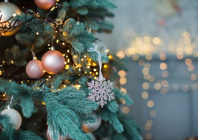 Adobestock 282822209