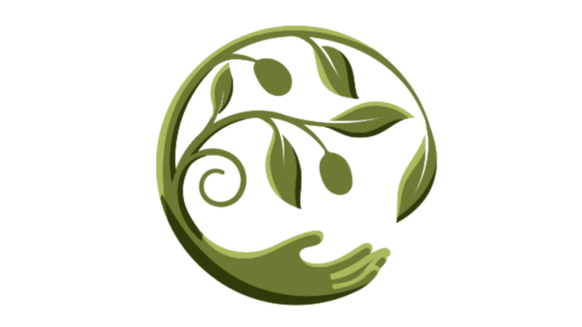 The Olive Project NEW