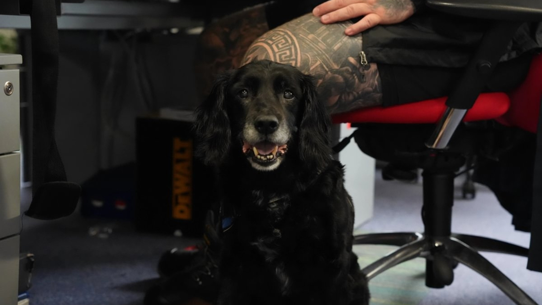 Duke